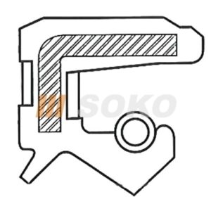 Oil Seal